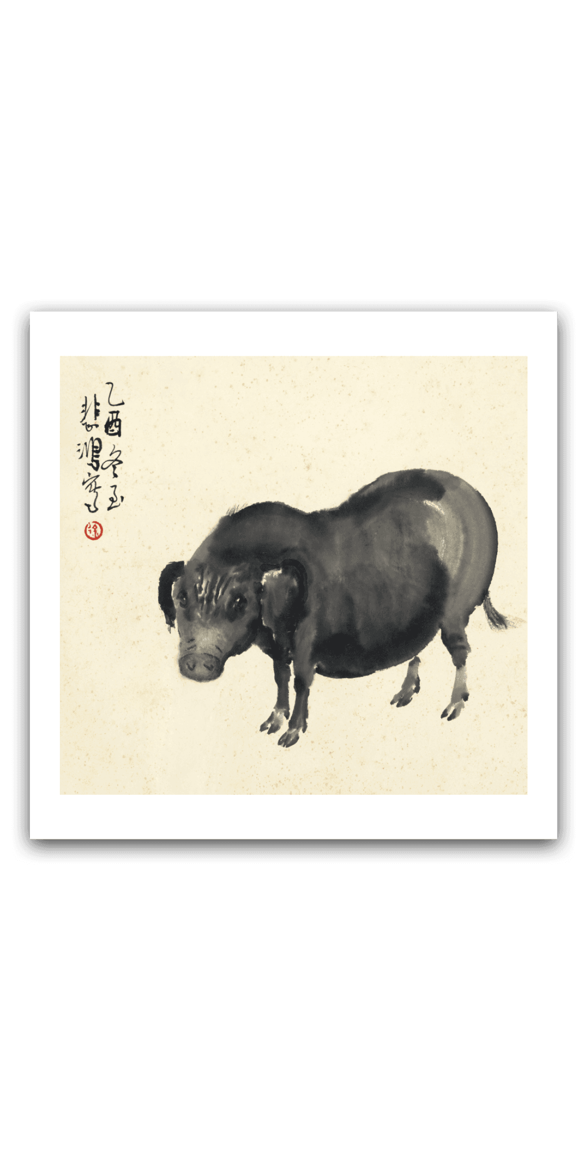 Boar — main view