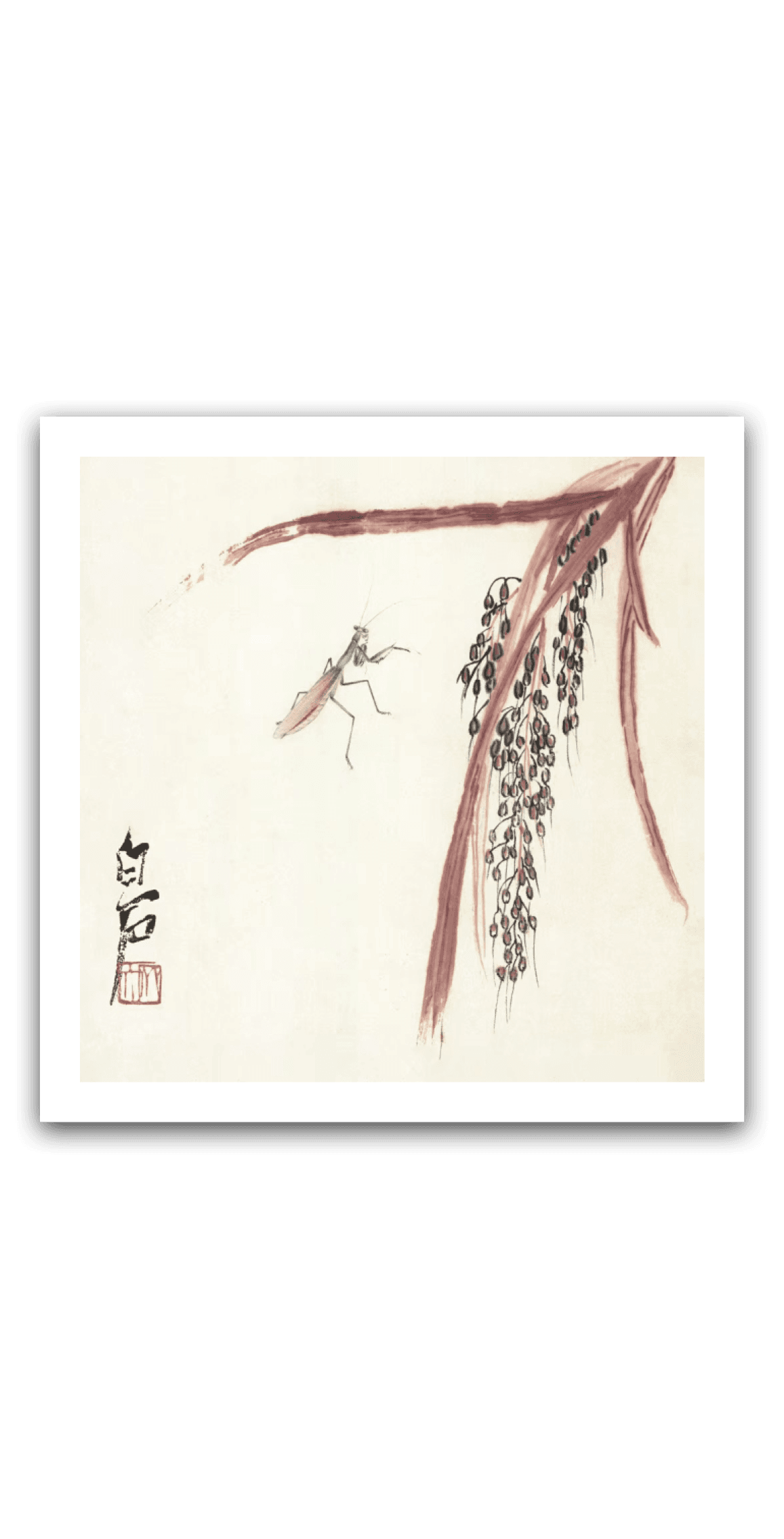 Rice Ears with Mantis — main view