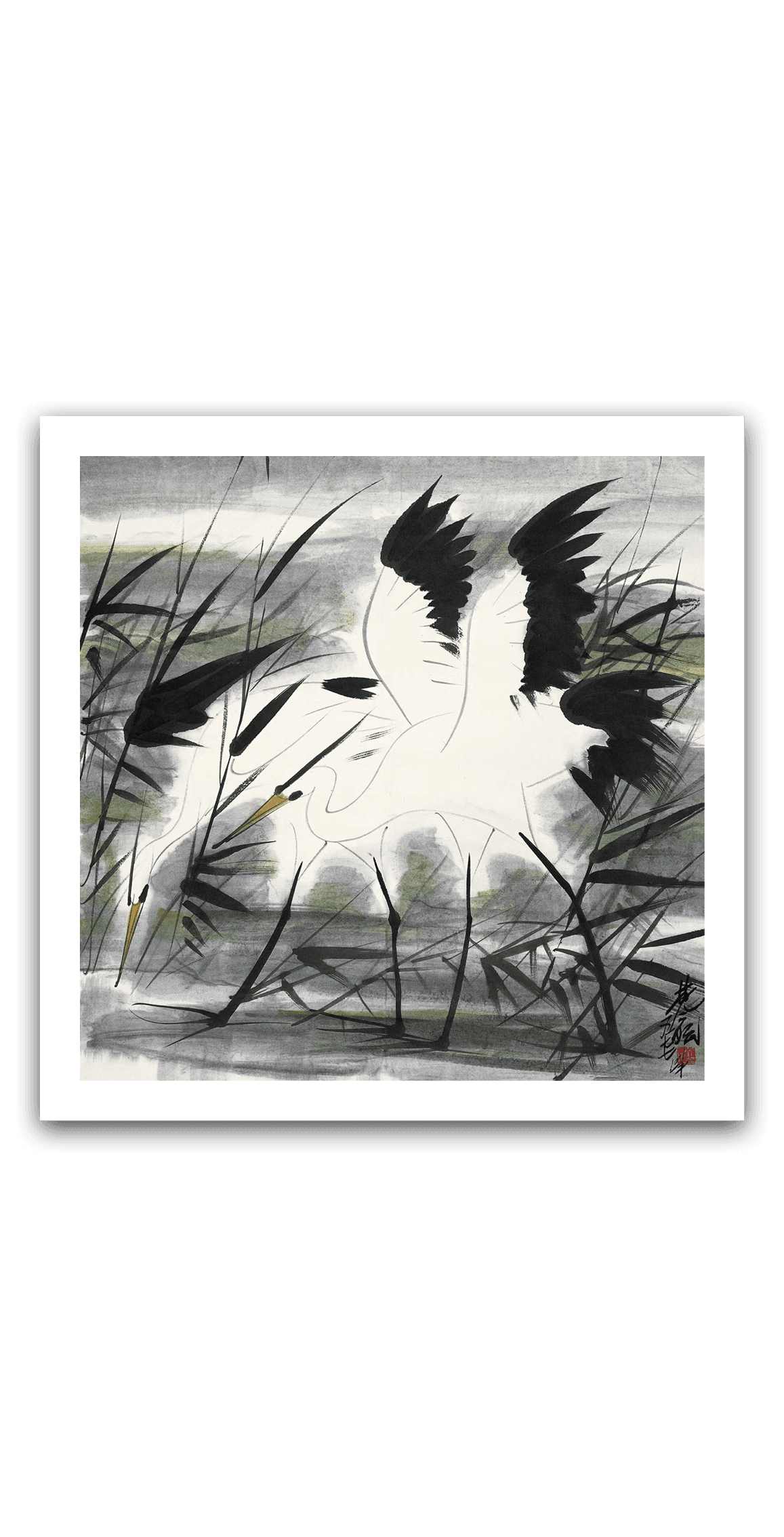 Two Herons — main view