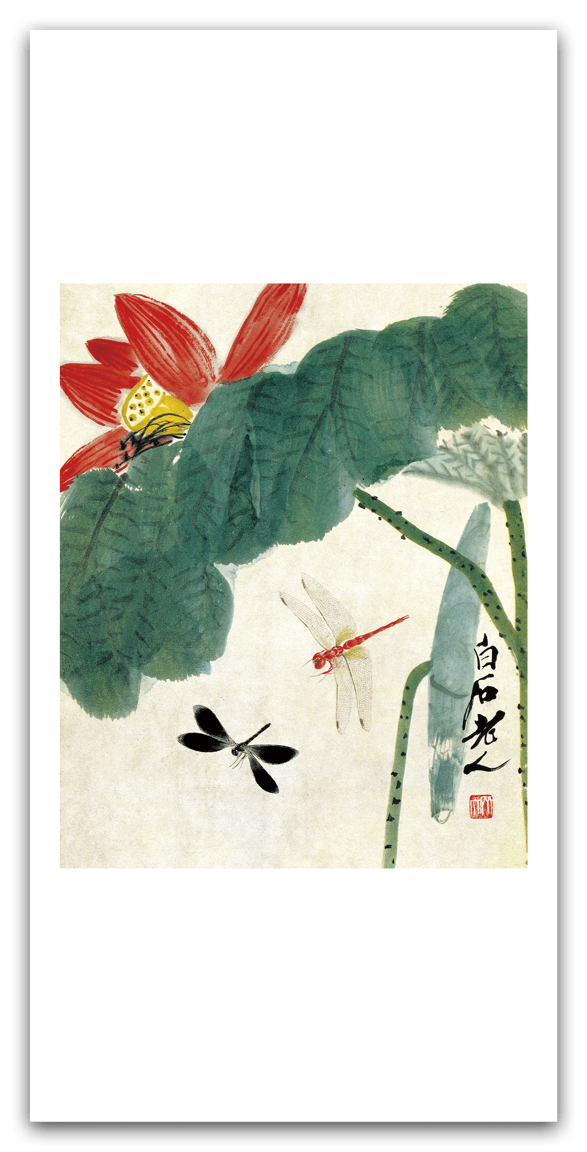Dragonfly Skimming the Water — main view