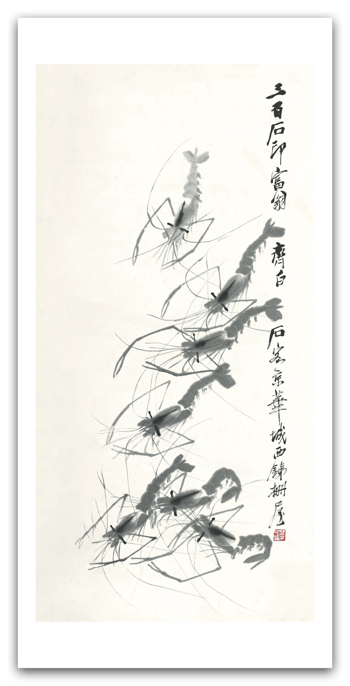 Shrimp Play — main view