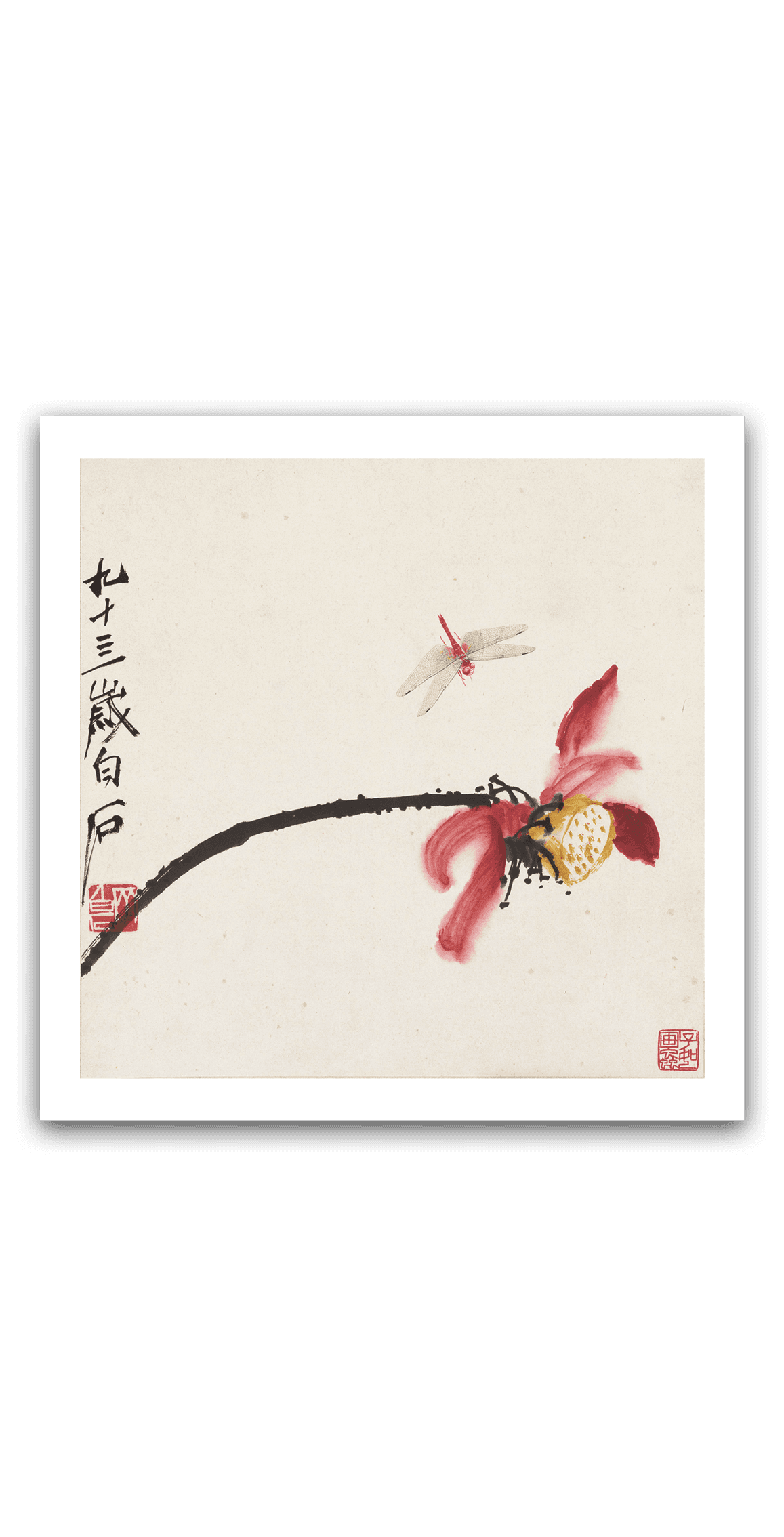 Lotus and Dragonfly — main view