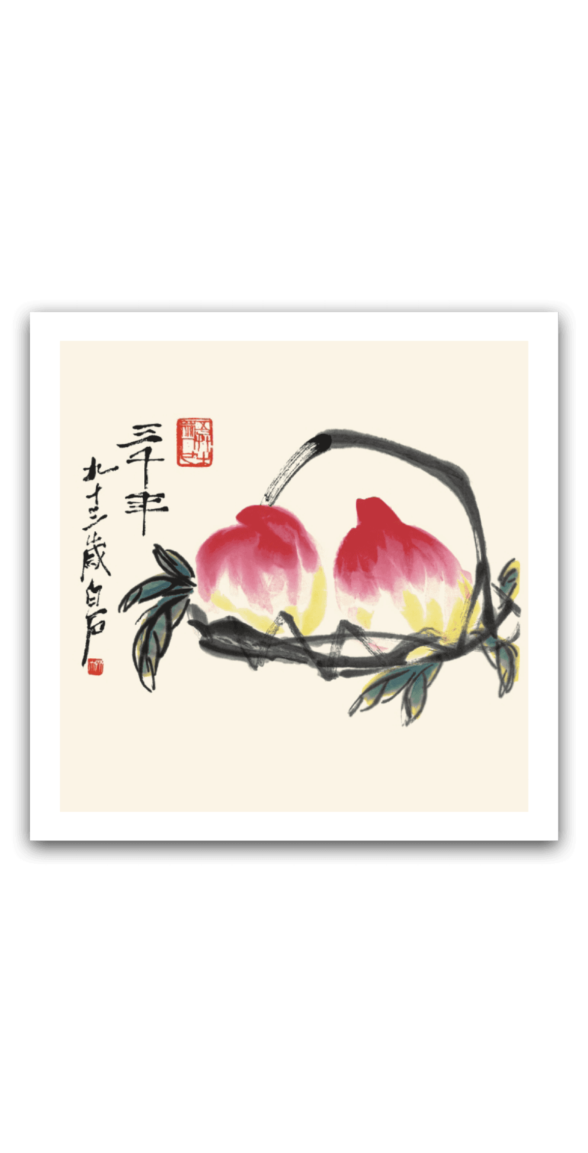 Double Longevity — main view