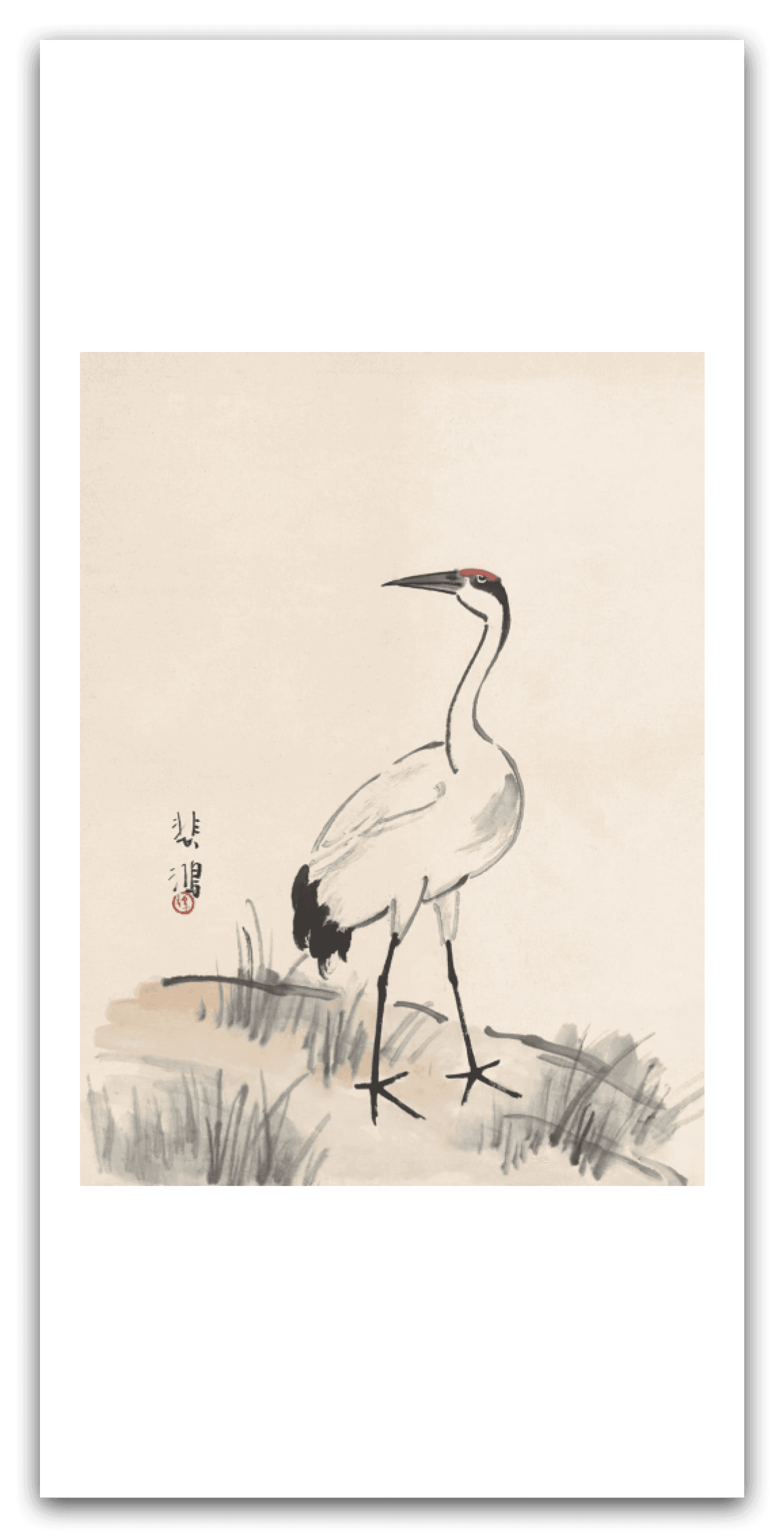 Red-crowned Crane — main view