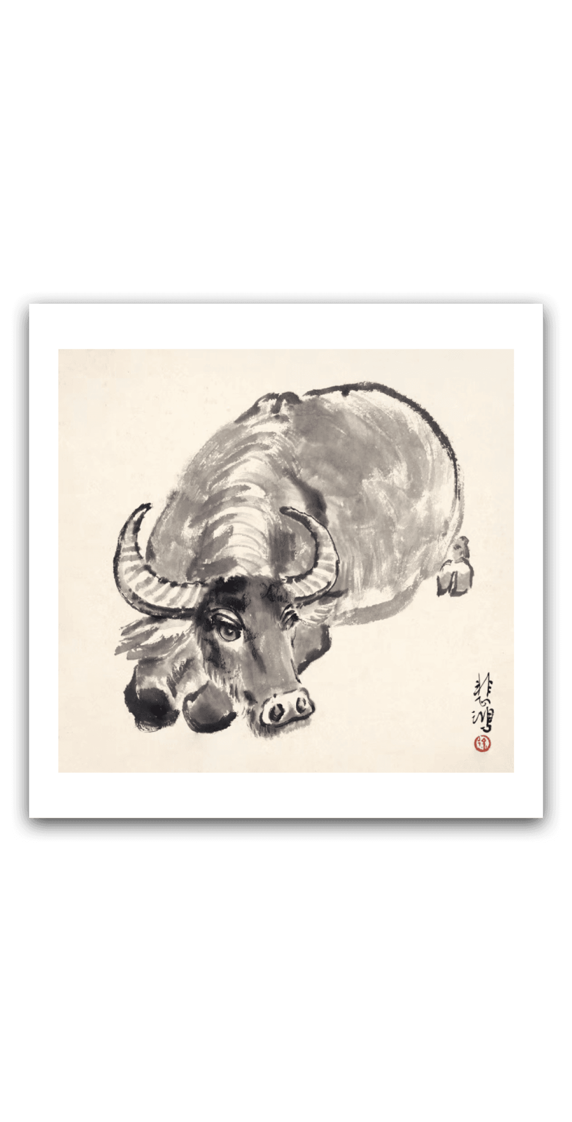 Ox — main view
