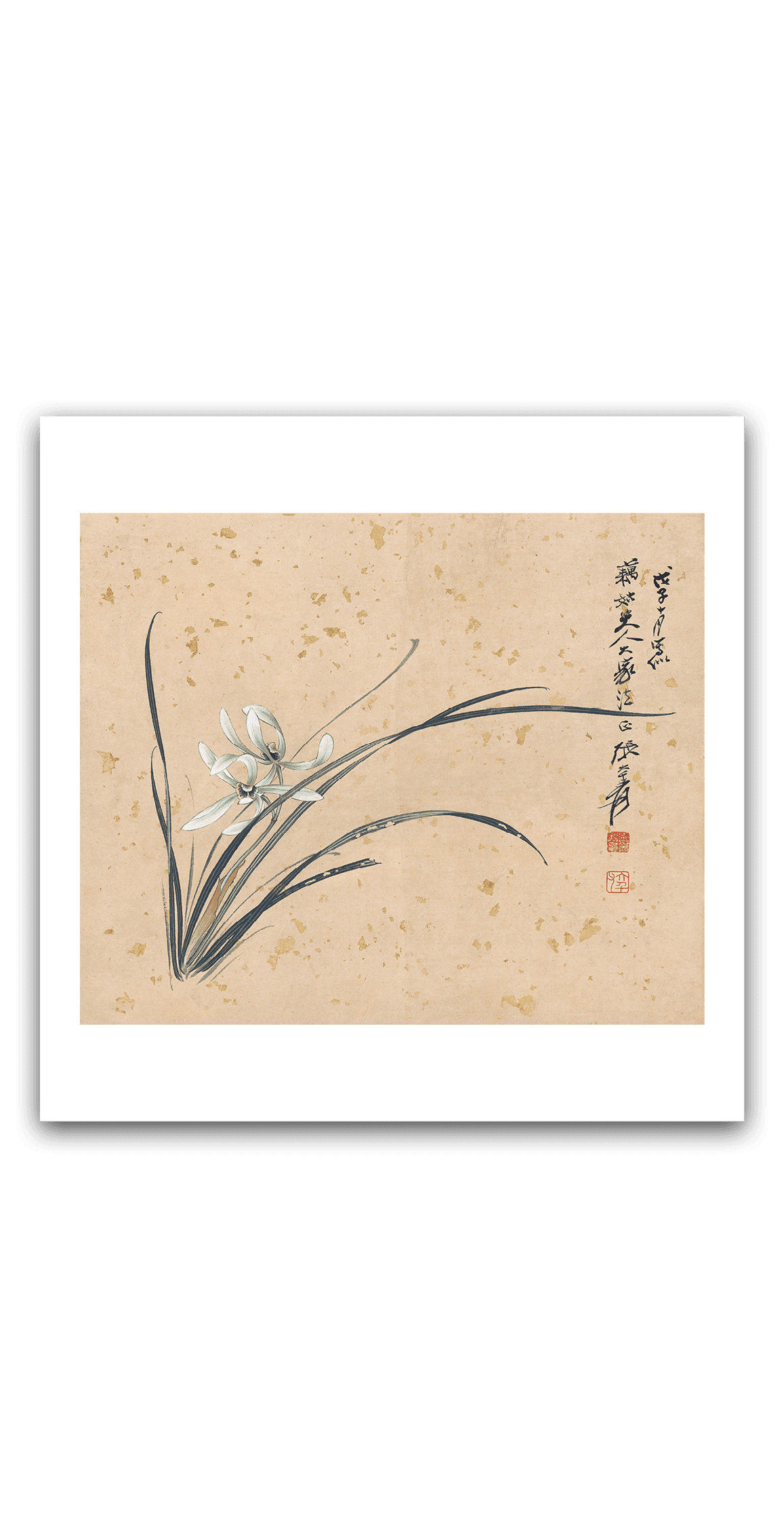Orchids — main view