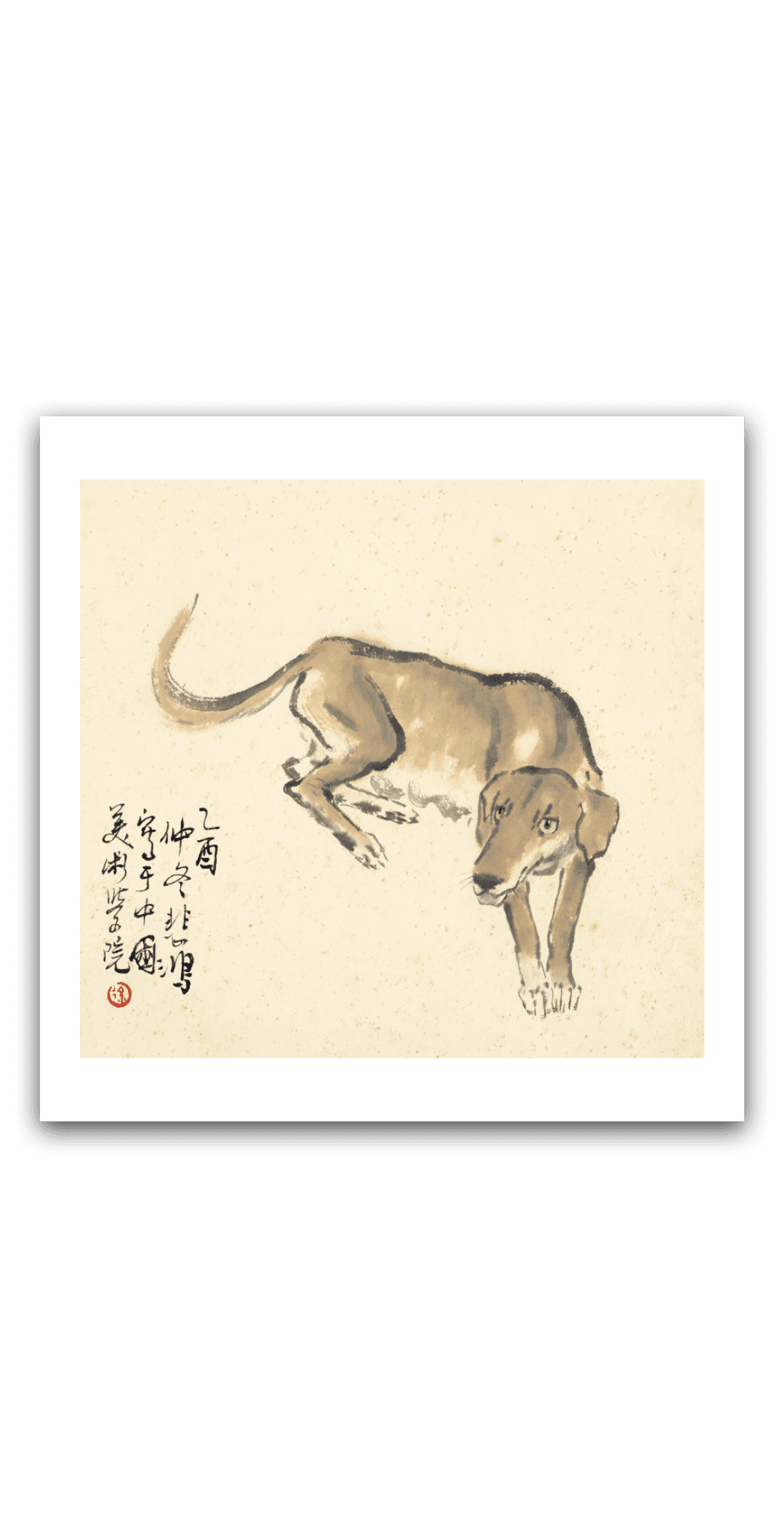 Dog — main view