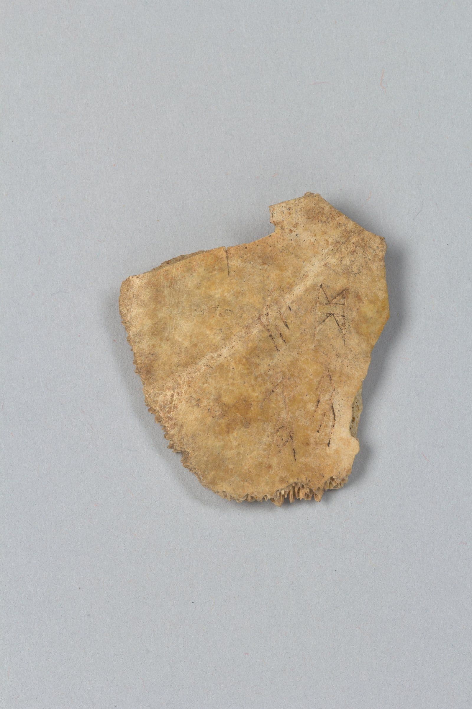 Oracle Bone and Bronze Script: Calligraphy's First Forms — Kiln & Ink Journal
