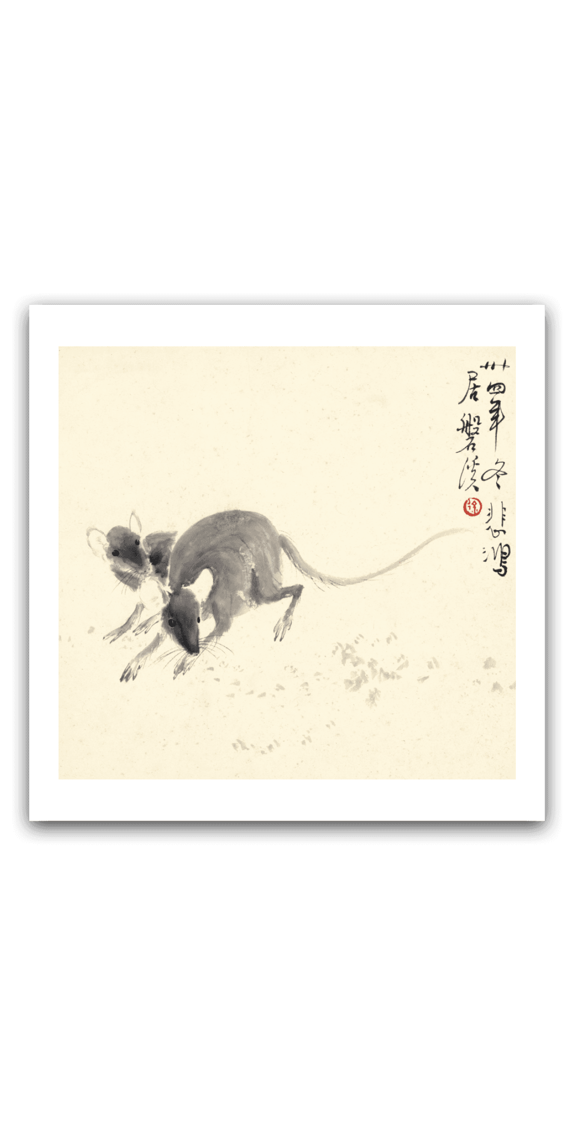 Rat — main view